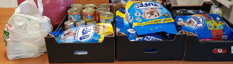 akcja darw dla schroniska