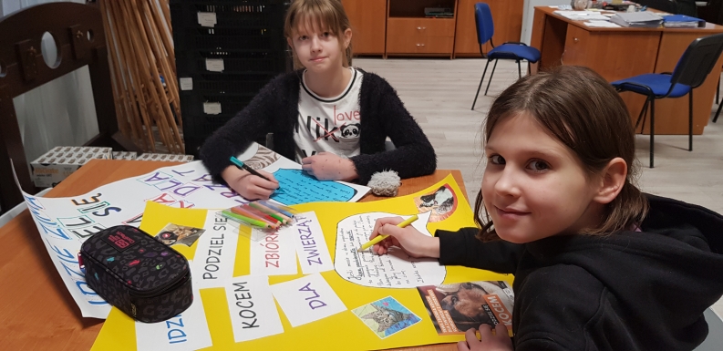 akcja darw dla schroniska