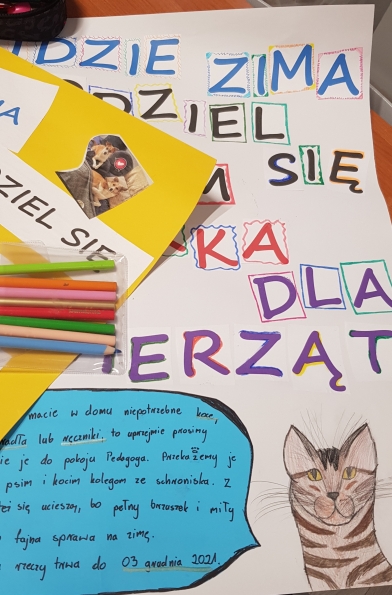 akcja darw dla schroniska