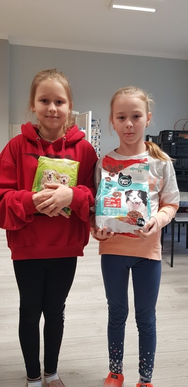 akcja darw dla schroniska