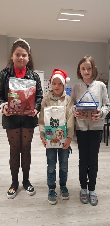 akcja darw dla schroniska