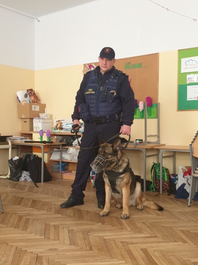 zajcia profilaktyczne