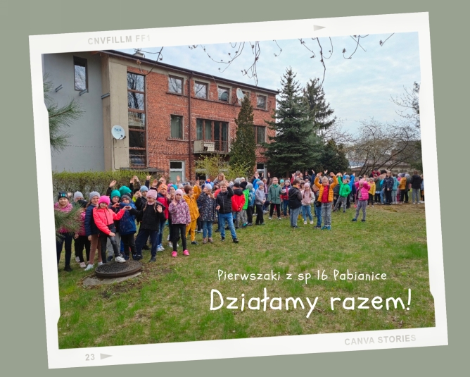 sadzenie drzew
