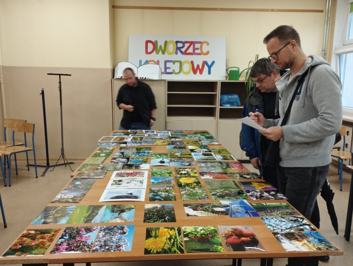 konkurs foto