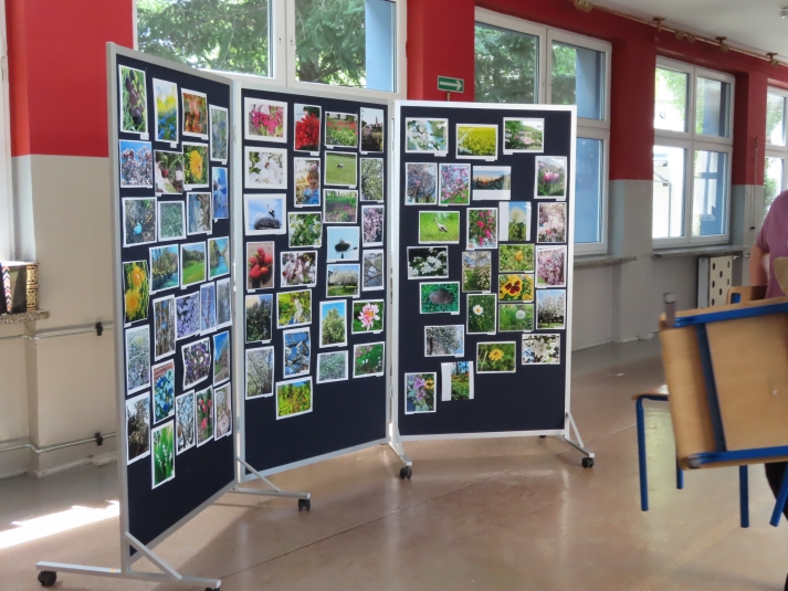 konkurs foto
