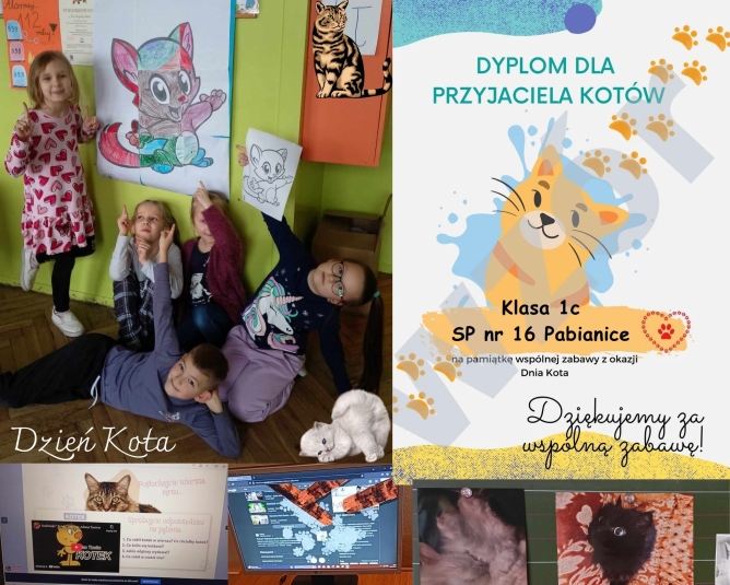 Dzie kota.