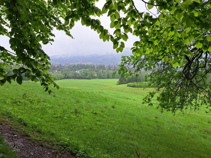 WWYCIECZKA KLAS SIDMYCH