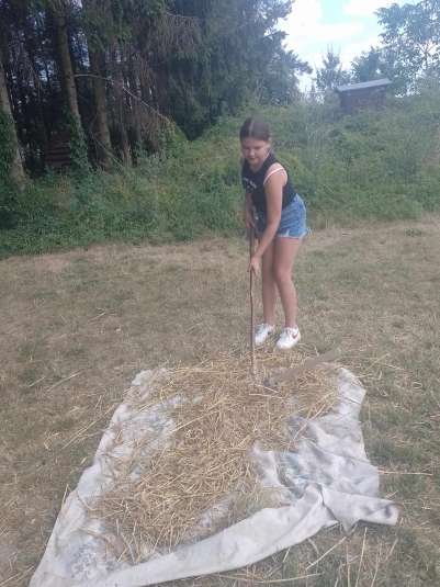 WYCIECZKA DO NIEBOROWA