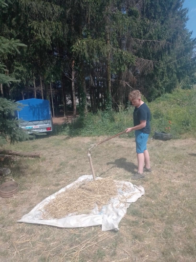 WYCIECZKA DO NIEBOROWA
