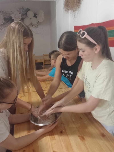 WYCIECZKA DO NIEBOROWA