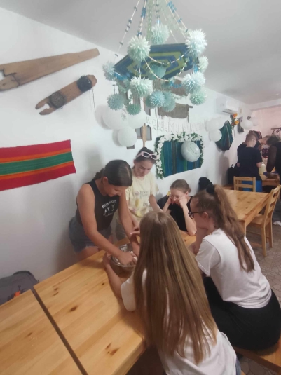 WYCIECZKA DO NIEBOROWA