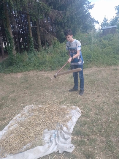 WYCIECZKA DO NIEBOROWA