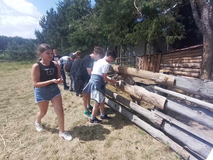 WYCIECZKA DO NIEBOROWA