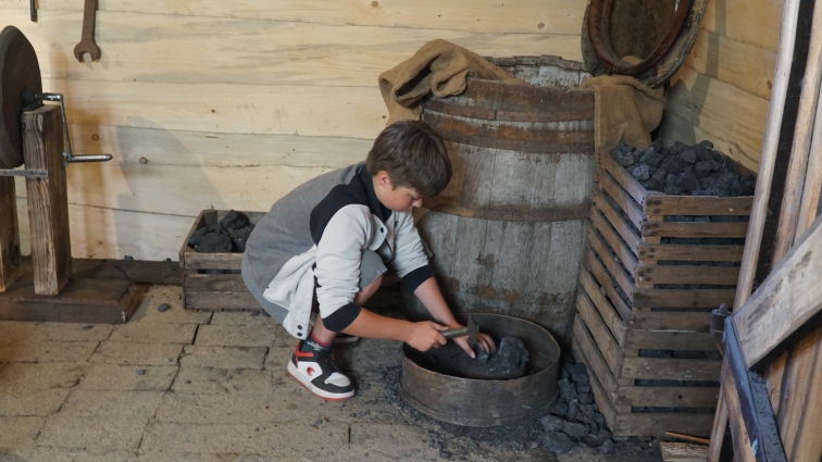 WYCIECZKA DO NIEBOROWA