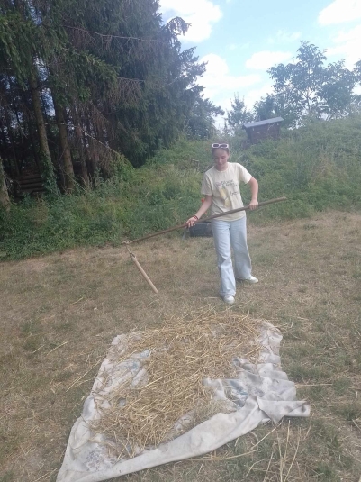 WYCIECZKA DO NIEBOROWA