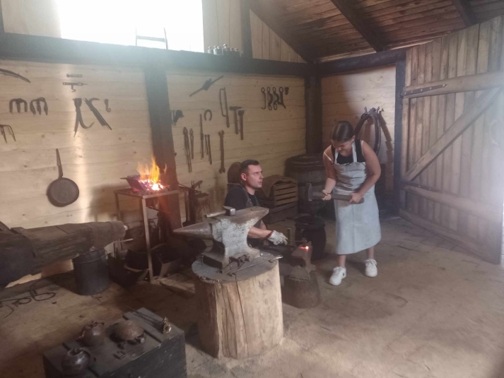 WYCIECZKA DO NIEBOROWA