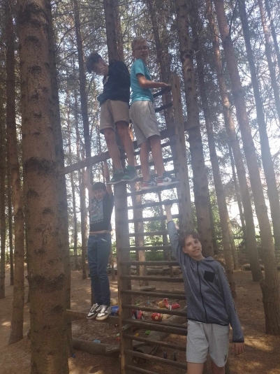 WYCIECZKA DO NIEBOROWA