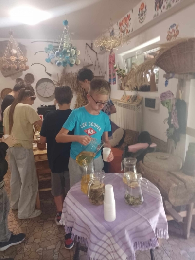 WYCIECZKA DO NIEBOROWA