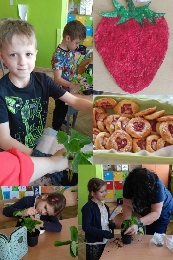 DZIE TRUSKAWKI W KLASIE 1C