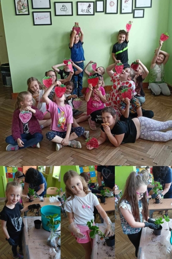 DZIE TRUSKAWKI W KLASIE 1C