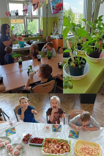 DZIE TRUSKAWKI W KLASIE 1C