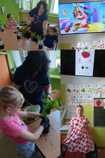DZIE TRUSKAWKI W KLASIE 1C