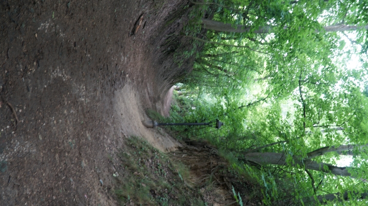 WYCIECZKA KLASY 5B I 5C DO PUAW, KAZIMIERZA DOLNEGO I SANDOMIERZA 