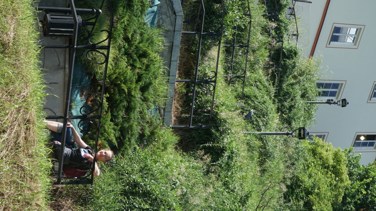 WYCIECZKA KLASY 5B I 5C DO PUAW, KAZIMIERZA DOLNEGO I SANDOMIERZA 