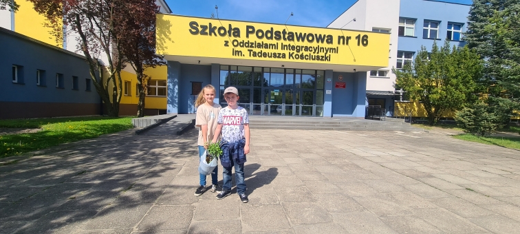Sadzimy krzewy wok naszej szkoy