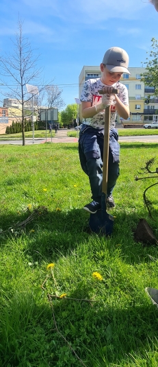 Sadzimy krzewy wok naszej szkoy