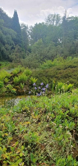 Lekcja biologii w terenie w Arboretum SGGW w Rogowie
