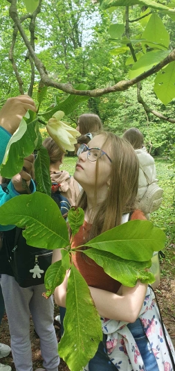 Lekcja biologii w terenie w Arboretum SGGW w Rogowie