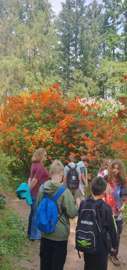 Lekcja biologii w terenie w Arboretum SGGW w Rogowie