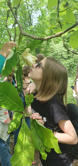 Lekcja biologii w terenie w Arboretum SGGW w Rogowie