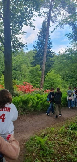 Lekcja biologii w terenie w Arboretum SGGW w Rogowie