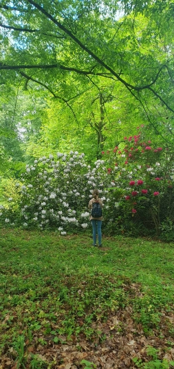 Lekcja biologii w terenie w Arboretum SGGW w Rogowie