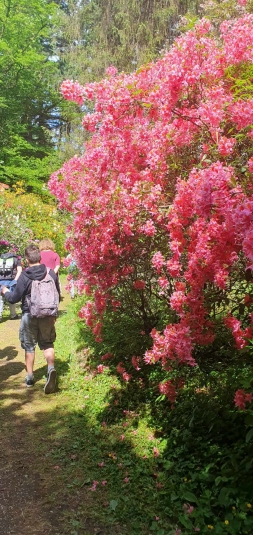 Lekcja biologii w terenie w Arboretum SGGW w Rogowie