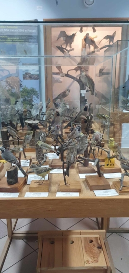 Lekcja biologii w terenie w Arboretum SGGW w Rogowie