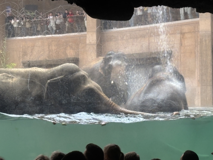 WYCIECZKA DO ZOO I ORIENTARIUM 
