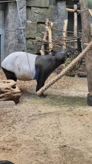 WYCIECZKA DO ORIENTARIUM