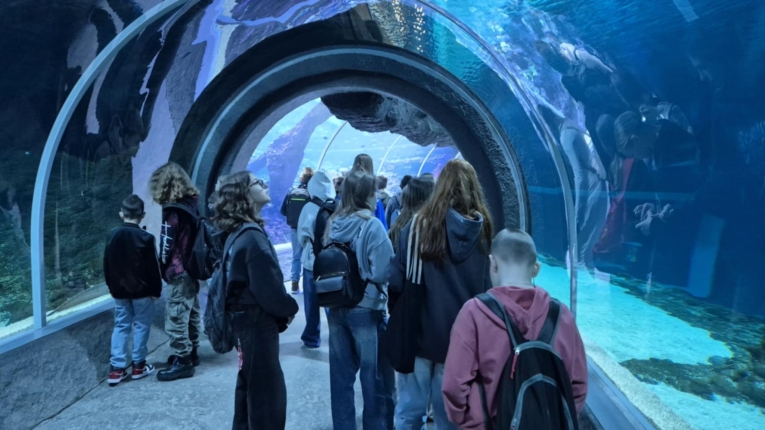 WYCIECZKA DO ORIENTARIUM