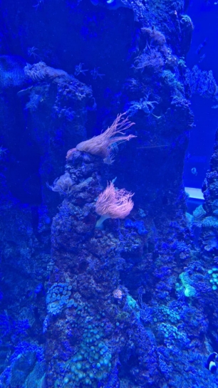 WYCIECZKA DO ORIENTARIUM