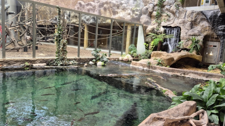 WYCIECZKA DO ORIENTARIUM