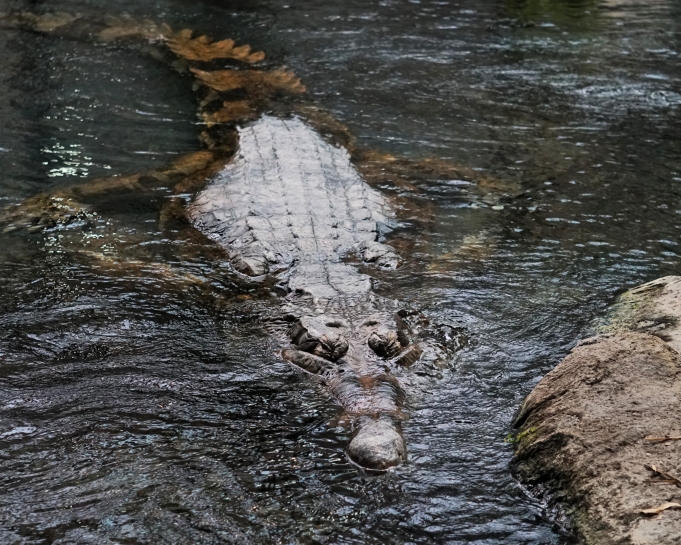 WYCIECZKA DO DZKIEGO ORIENTARIUM