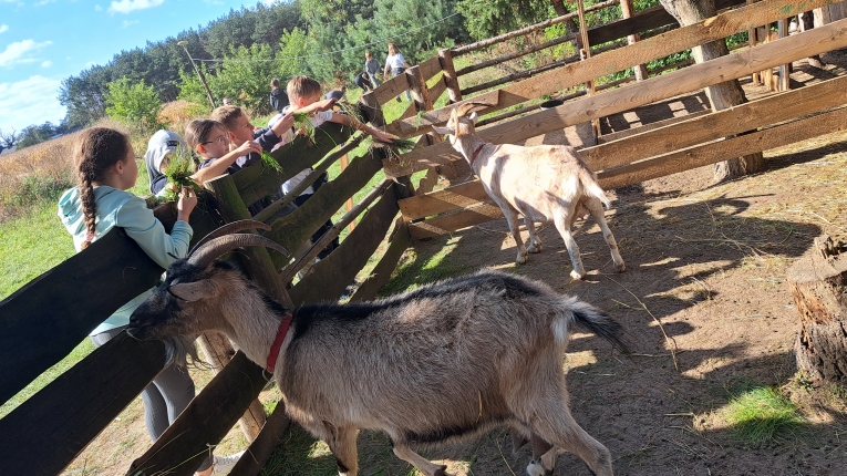 WYCIECZKA KLAS 4A i 4B DO NIEBOROWA I BOLIMOWA