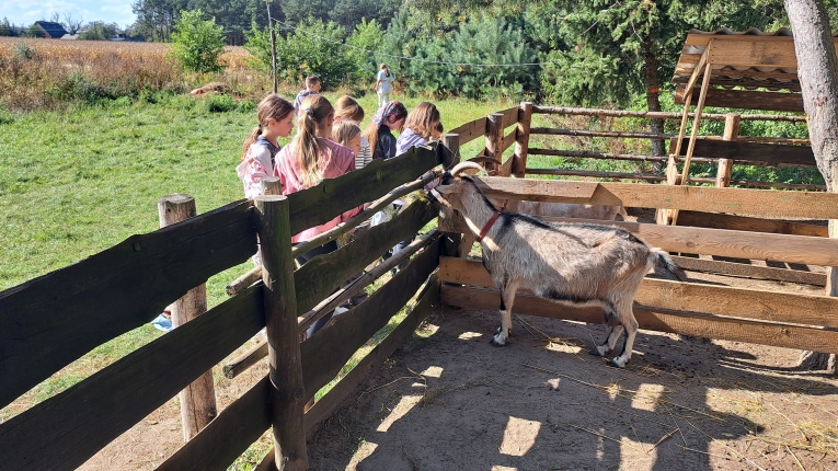 WYCIECZKA KLAS 4A i 4B DO NIEBOROWA I BOLIMOWA