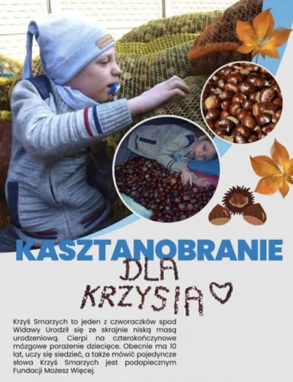 KASZTANOBRANIE DLA KRZYSIA