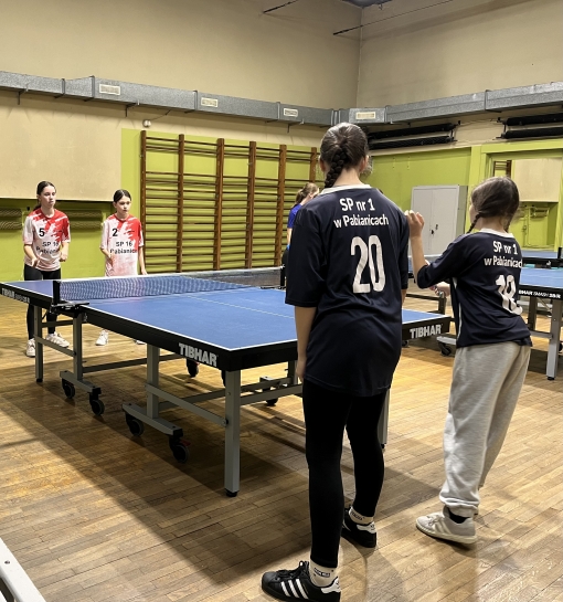 NASZE DZIEWCZ�TA MISTRZYNIAMI PABIANIC W TENISIE STO�OWYMb