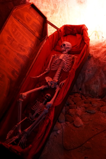 WYCIECZKA DO KOPALNI SOLI W K�ODAWIE I ZAMKU W ��CZYCY