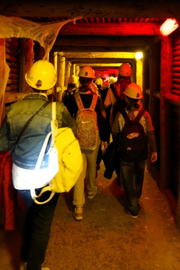 WYCIECZKA DO KOPALNI SOLI W K�ODAWIE I ZAMKU W ��CZYCY